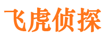 洪泽侦探公司